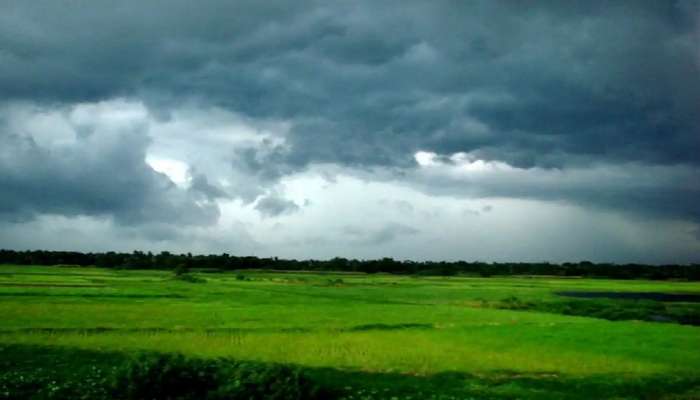 Monsoon Update : मुंबईत 15 जुलैपर्यंत अतिवृष्टीचा इशारा
