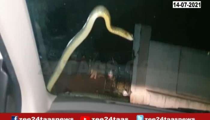 Nashik Snake Found On Car Rescued
