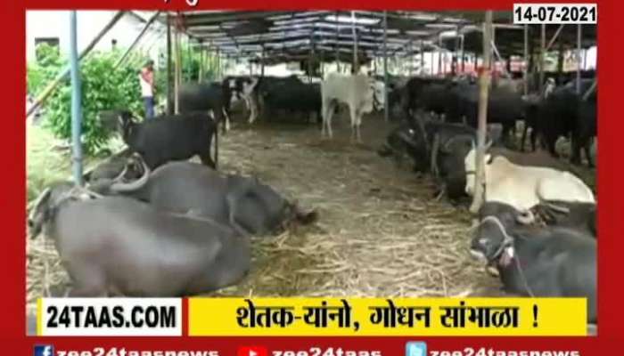 Animals Vaccination Pending, will become problem in future 