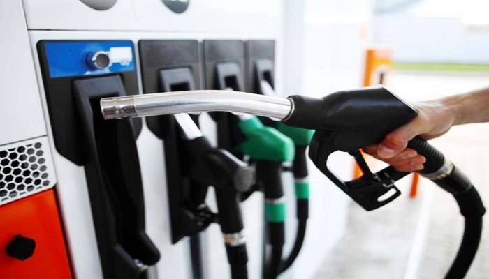 Petrol Diesel Price Today : पेट्रोल-डिझेलच्या भाव वाढीने, सरकार मालामाल 