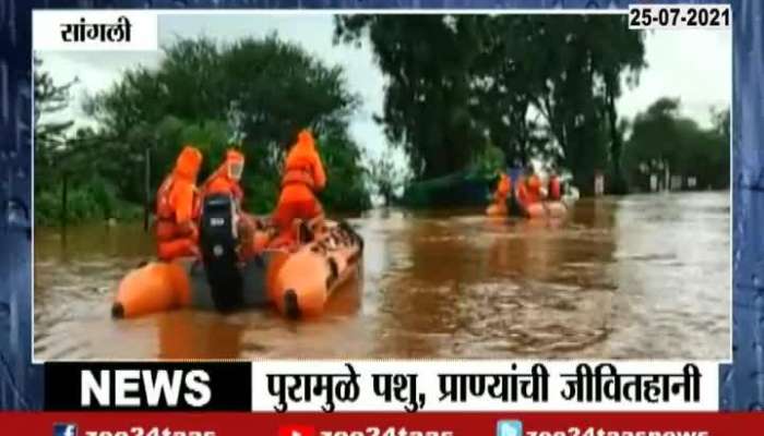 SANGLI 1 LAKH PEOPLE WERE MIGRETED DUE TO FLOOD