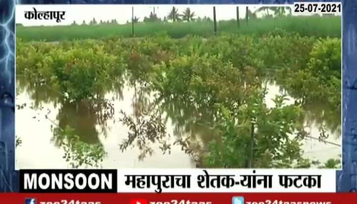 Kolhapur, Shirol Heavy Rain Affect On Farmers see current situation