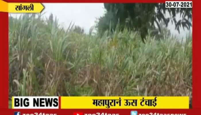 REPORT ON WEST MAHARASHTRA FLOOD HIT SUGERCANE