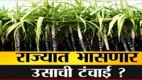 राज्यातील ऊसाचं कोठार संकटात; जाणून घ्या कसं बिघडलंय हे गणित 