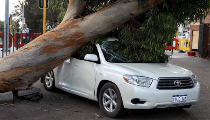 रस्त्यात उभ्या असलेल्या गाडीवर जर झाड पडलं, तर तुम्हाला Insurance  मिळेल की, नाही? काय आहे नियम जाणून घ्या