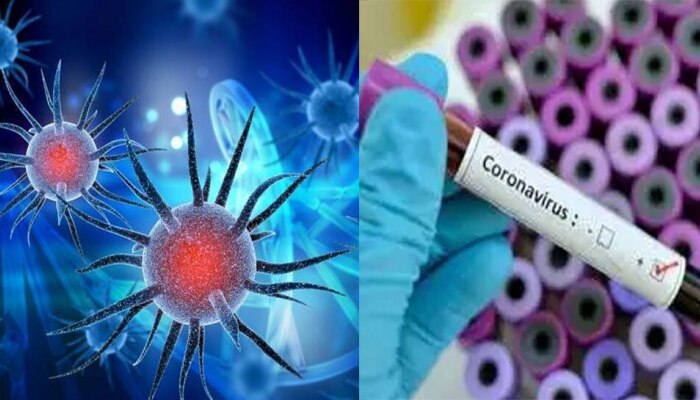 Maharashtra Corona Cases : शनिवारी राज्यात नव्या कोरोनाबाधितांपेक्षा बरे होणाऱ्या रुग्णांचं प्रमाण जास्त 