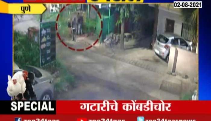 pune chicken theft found in cctv, see what is happening
