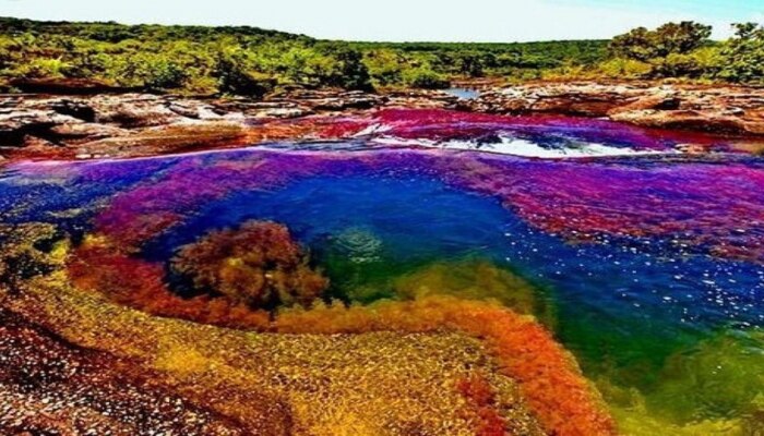 पृथ्वीवरील सर्वात सुंदर नदीची पदवी कोणत्या नदीला मिळाली? रंग बदलणारी ही नदी कुठे आहे?