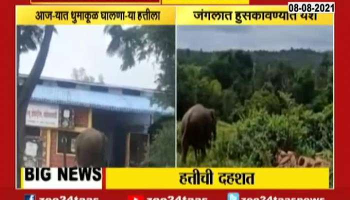 Kolhapur Elephant Send Back To Forest
