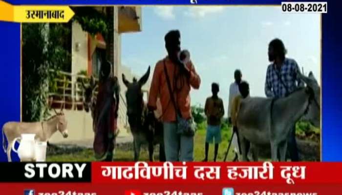 Osmanabad Umarga Milk Cost Rupees 100 For 10 ML Of Milk