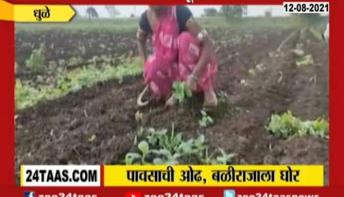 FARM LAND DAMAGE DUE TO LACK OF RAIN