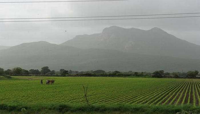 Monsoon Update : राज्यात पुन्हा पावसाचा जोर वाढणार, हवामान खात्याचा अंदाज 