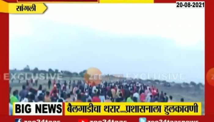 Sangli Bullock Cart Race Compition Exclusive News