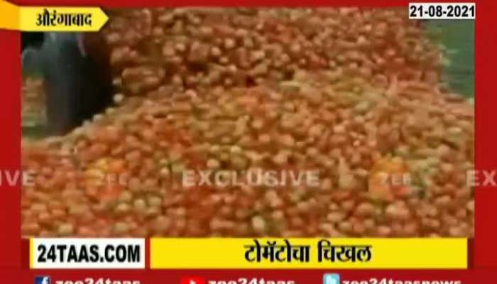 Aurangabad Farmer Thow Away Tomatos On Road For No Market Demand