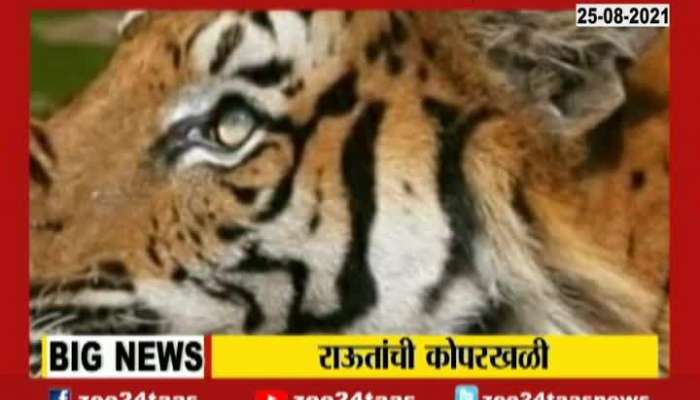 Shiv Sena MP Sanjay Raut Tweets Photo