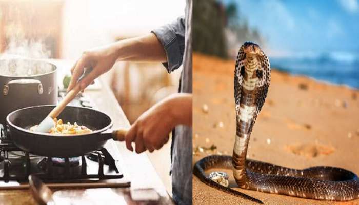 China: नेहमीप्रमाणे सूप बनवण्यासाठी कापला कोबरा, पण यावेळी कूकचा मृत्यू