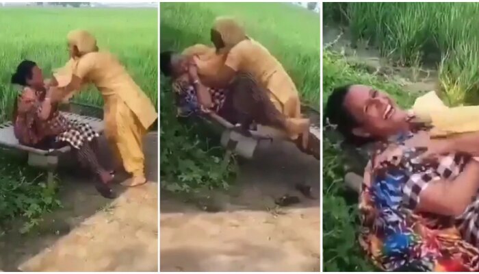 Viral Video : शेतात अचानक भांडू लागल्या महिला.... अखेर असं संपलं भांडण...