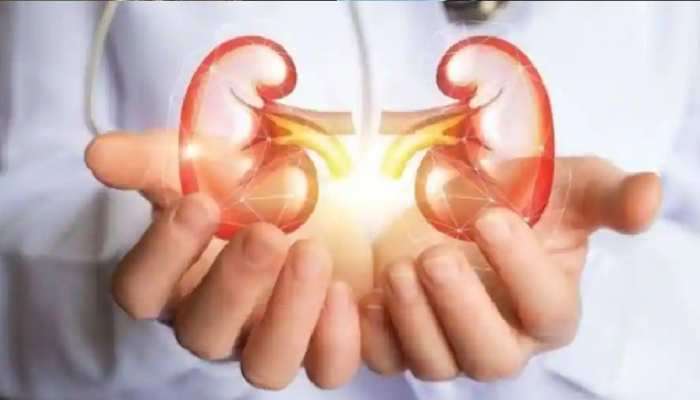 Kidney Health: किडनीची खास काळजी घेतात हे या ५ गोष्टी