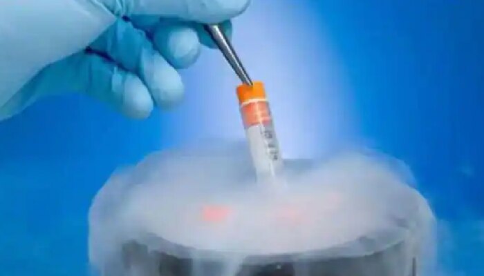 IVF प्रक्रियेदरम्यान मोठी चूक, बदलले मुलाचे बाबा