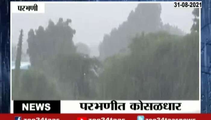  Parbhani Crops Get Life From Heavy Rainfall As Some Crops Get Damage