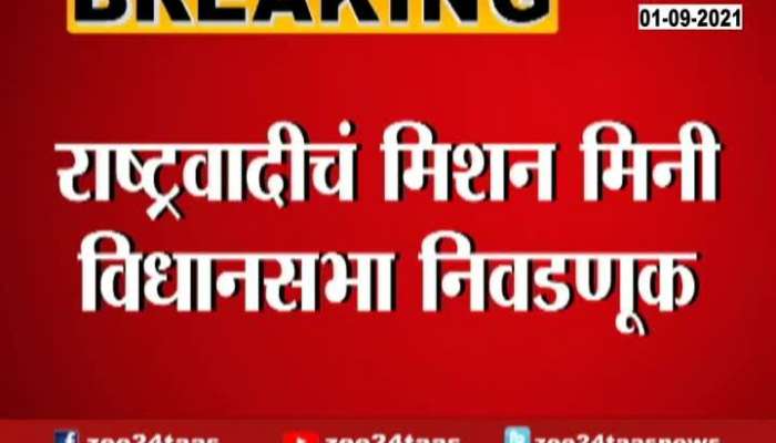 Mumbai NCP To Start Prepration And Campaigning For Mini Vidhan Sabaha Election