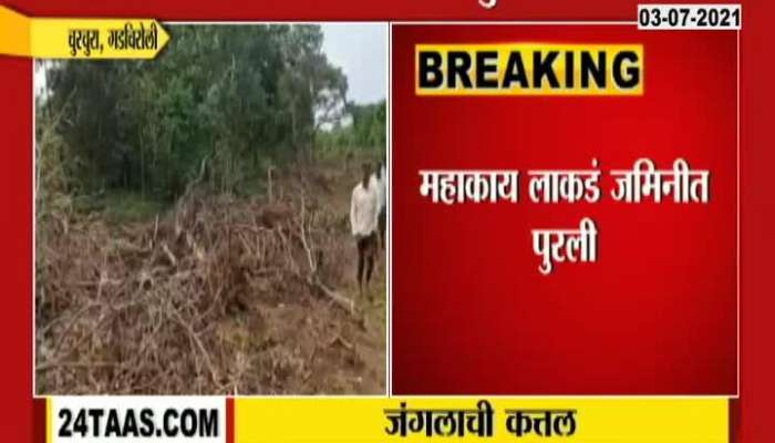  Gadchiroli Churchura 50 Acrs Deforestation