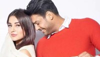 गर्लफ्रेंडसोबत साईन केलेले मोठे प्रोजेक्ट अर्धवट सोडून गेला सिद्धार्थ !