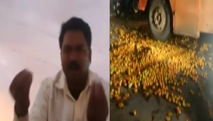 टोमॅटोला कवडीमोल भाव मिळत असल्यानं शेतकऱ्यांचा टाहो 