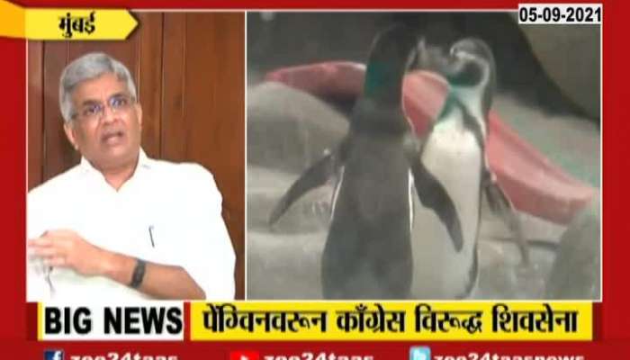 Mumbai BMC Contract For Penguine For Three Years In Controversy
