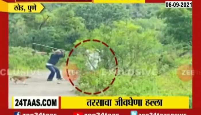 Khed Pune Hyaena Attacked On two People Exclusive Visuals