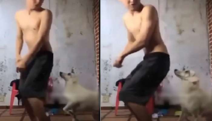 कुत्र्यासमोर विचित्र डान्स करणं तरुणाला पडलं महागात, व्हिडीओ