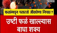 Video | Special report | खरंच फळांमधून निपाह पसरतो का ? तुमचं आरोग्य धोक्यात ? 