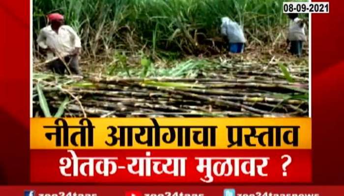 Report On State Sugarcane Farmers In Trouble