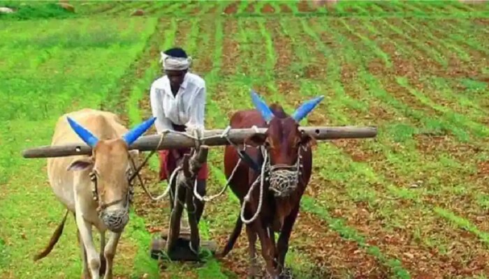 Schemes for farmers | शेतकऱ्यांसाठी केंद्र सरकारच्या 5 महत्वपूर्ण योजना; वाचा सविस्तर