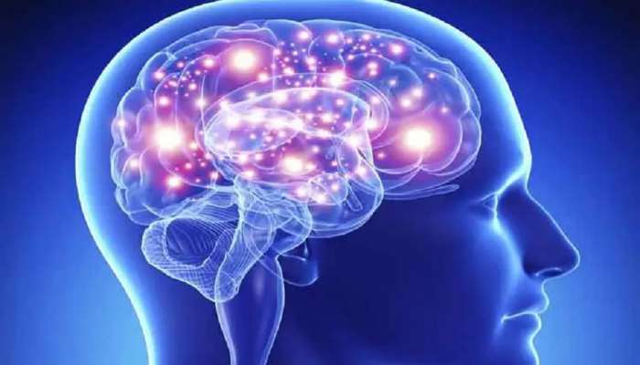 Brain boosting food: : या 5 गोष्टींमुळे तुमची स्मरणशक्ती वाढते