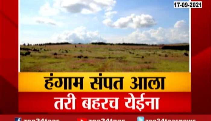 Satara Report On Kas Pathar