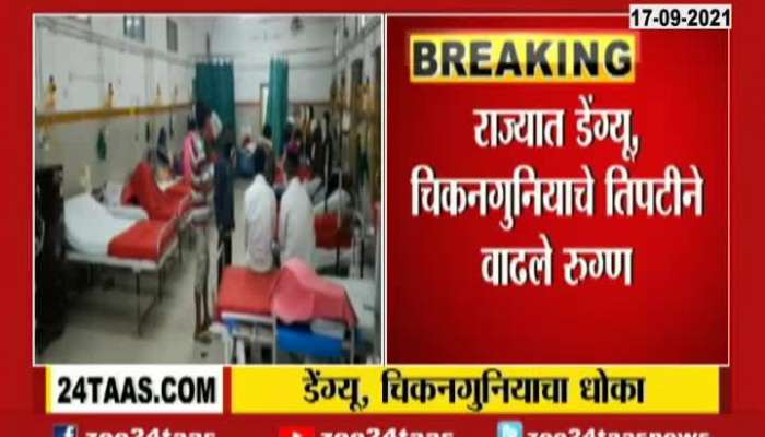 Maharashtra 15 Districts On Alert For Fast Rising Of Dengue And Chikungunia