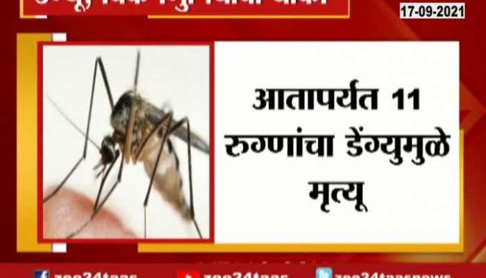 Dengu, Chikungunya Patients Increase