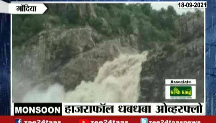Gondia British Era Hazra Water Fall Got Active After Heavy Rainfall