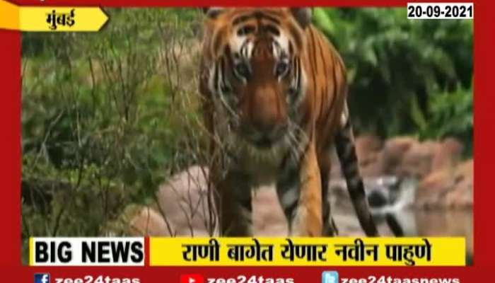 Mumbai Byculla Zoo To Get New Animals Soon