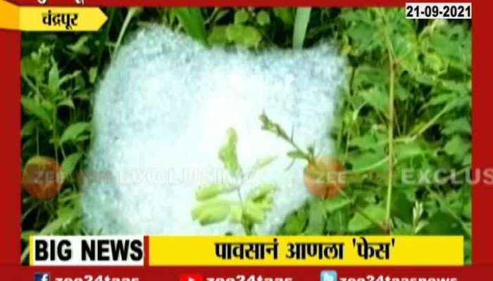 Chandrapur Rain With Foam