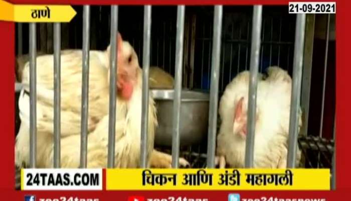 Thane Rise In Price Of Egg And Chicken Update