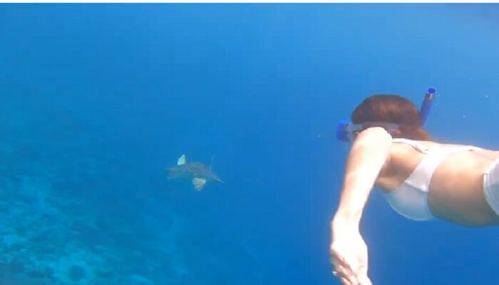 Ananya Panday च्या सुंदर व्हिडिओचा नजराणा, पोस्ट केला Underwater VIDEO