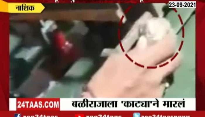  Nashik Tomato Traders Cheated Stone Bag Tied To a Weighing Machine Update