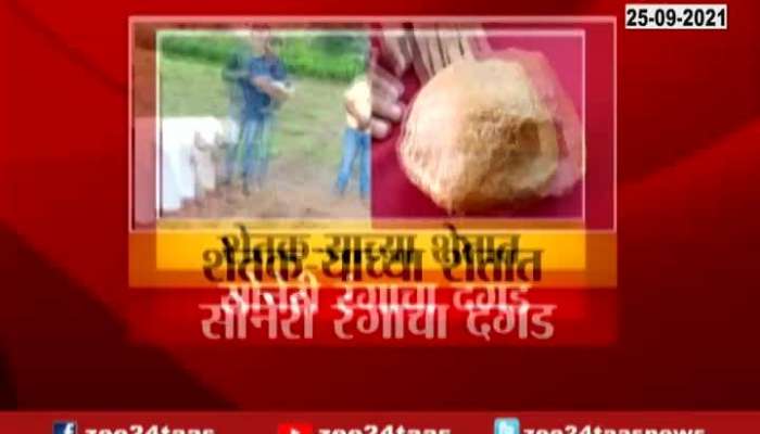 Osmanabad Golden Stone Found In Farm