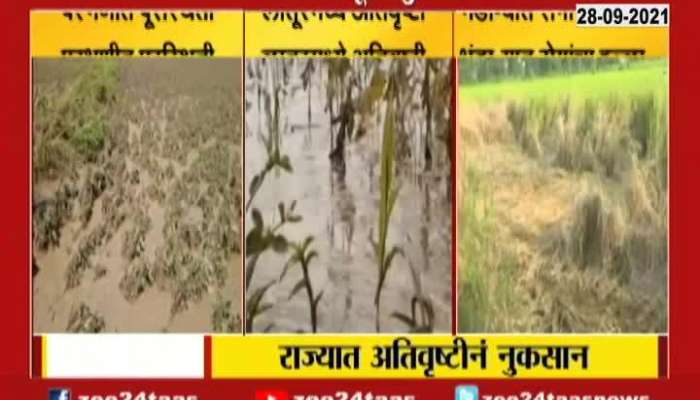 Minister Vijay Wadettiwar On Help To Farmers For Damage Of Farm From Heavy Rainfall