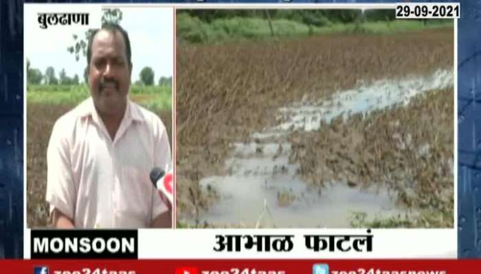 Buldhana Heavy Rain Soybean Farmer Suffer Loss