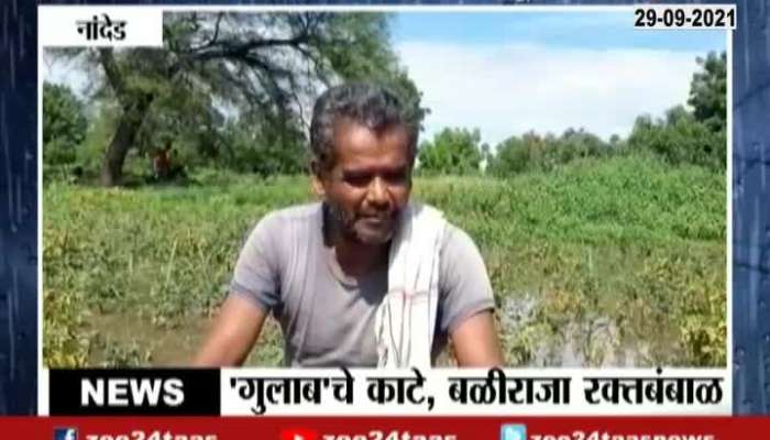 Report On Gulab Cyclone Impact On Maharashtra Farmers Crop Loss