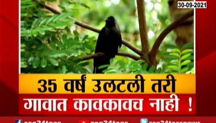 Satara No Crow Seen In Village