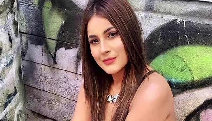 बिग बॉसच्या घरातून बाहेर आल्यानंतर शेहनाजला हवं तसं काही झालचं नाही, व्हिडिओ व्हायरल 